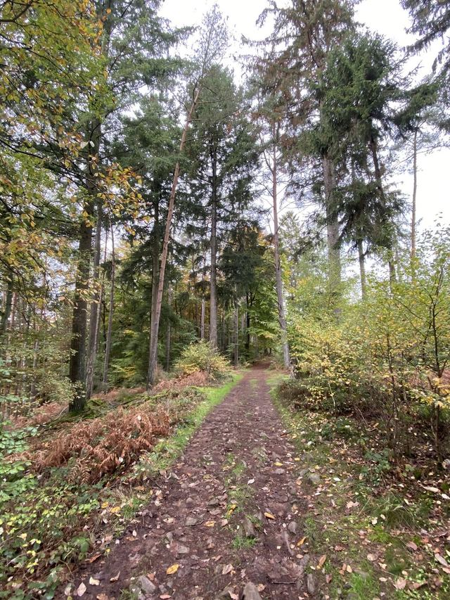 Saarschleife — Mettlach — photo 33