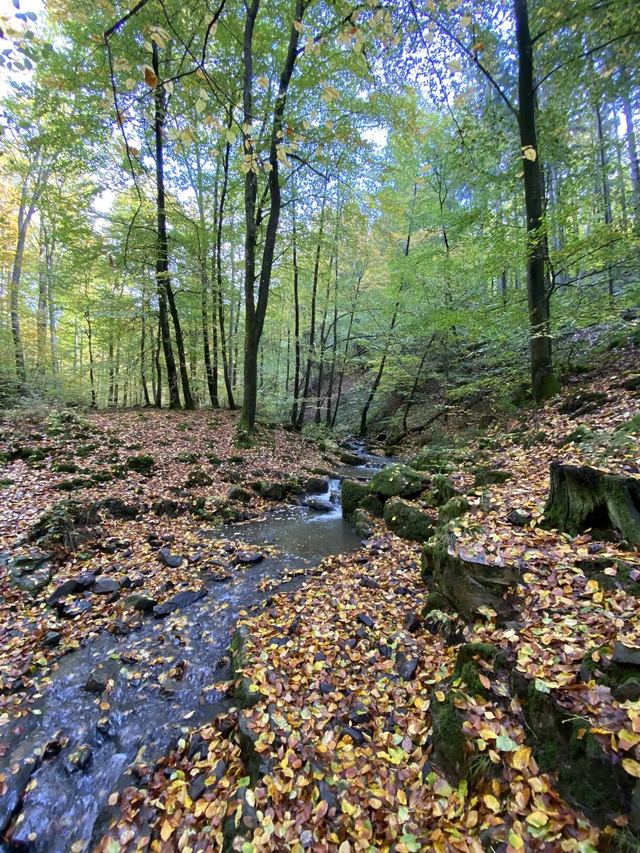Saarschleife — Mettlach — photo 37