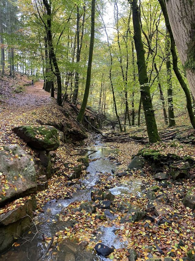 Saarschleife — Mettlach — photo 38