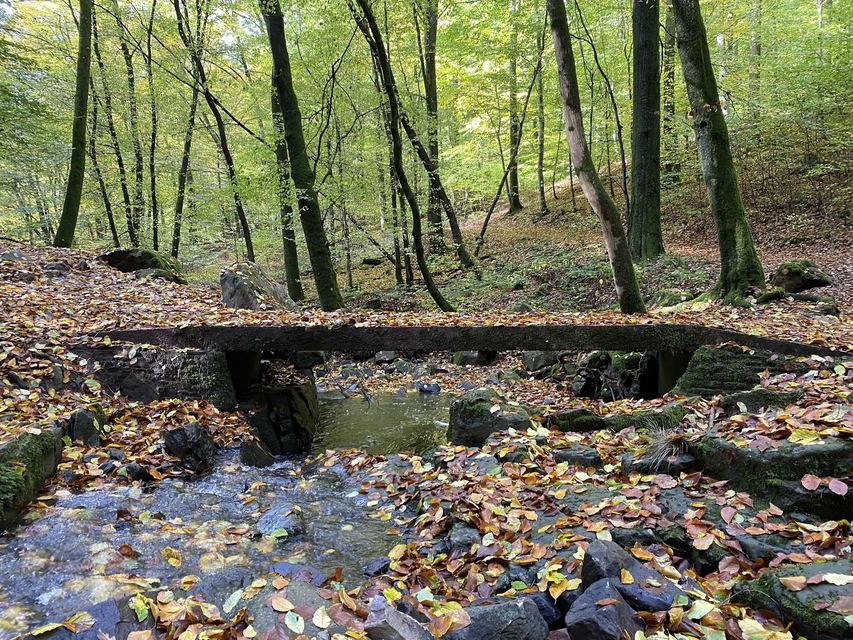 Saarschleife — Mettlach — photo 40