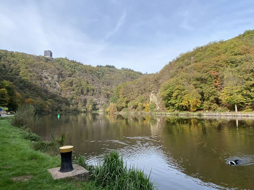 Saarschleife — Mettlach — photo 43