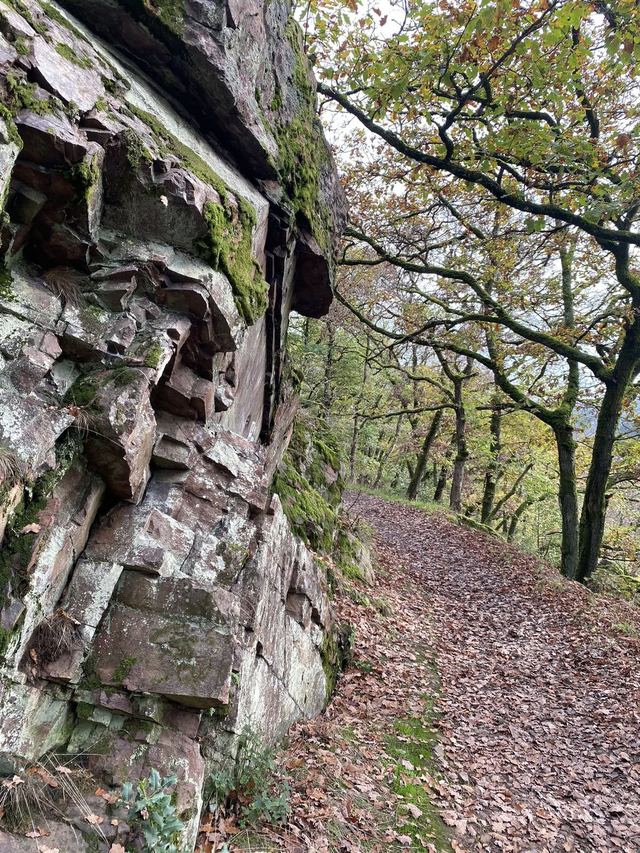 Saarschleife — Mettlach — photo 44