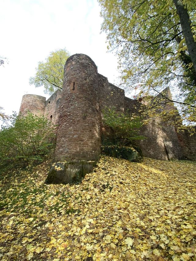 Saarschleife — Mettlach — photo 45