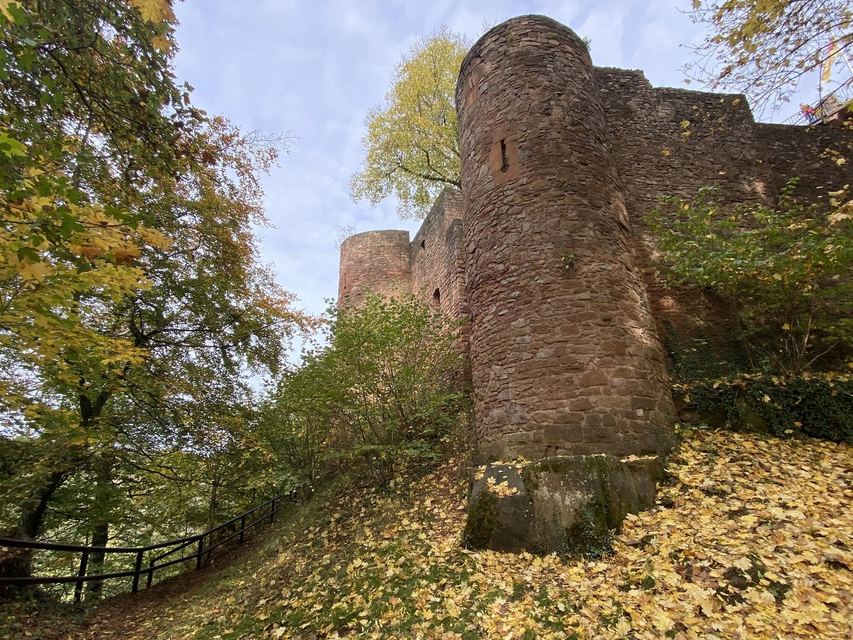 Saarschleife — Mettlach — photo 47