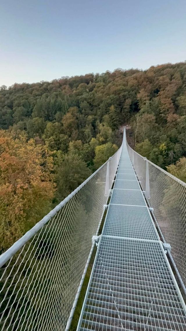 Passerelle de Sainte-Cécile & Rocher du Chat — photo 25