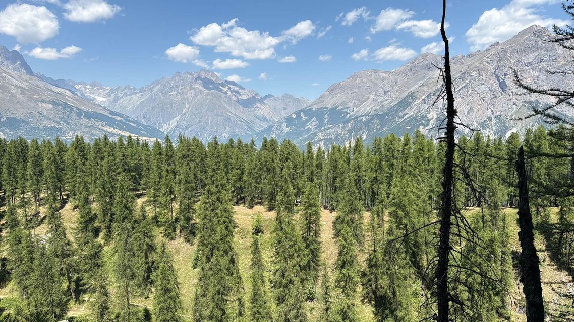 Via ferrata de Tournoux — photo 24